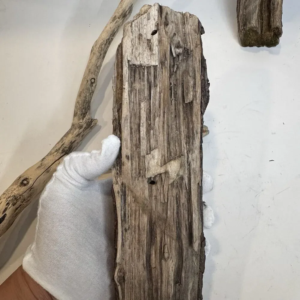 Driftwood 3 Piece Lot Natural Aquarium Terrarium Beach Decor Taxidermy Y Shaped